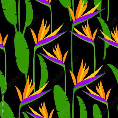 Papier peint  Seamless tropical pattern with strelitzia. Vector illustration