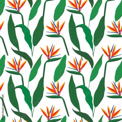 Papier peint  Seamless tropical pattern with strelitzia. Vector illustration.