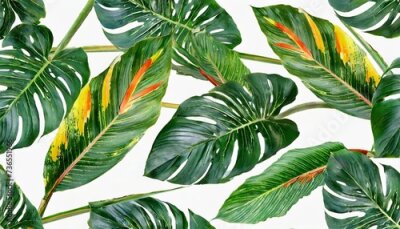 Papier peint  seamless tropical pattern with strelitzia with leaves on white background seamless pattern with colorful leaves of colocasia filodendron monstera exotic wallpaper hawaiian style