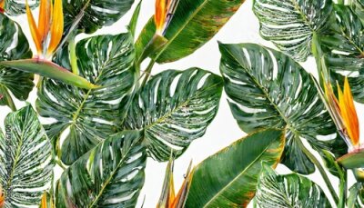 Papier peint  seamless tropical pattern with strelitzia with leaves on white background seamless pattern with colorful leaves of colocasia filodendron monstera exotic wallpaper hawaiian style