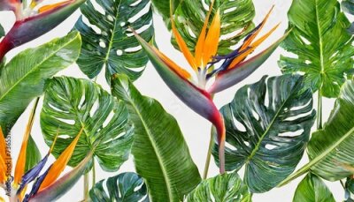 Papier peint  seamless tropical pattern with strelitzia with leaves on white background seamless pattern with colorful leaves of colocasia filodendron monstera exotic wallpaper hawaiian style