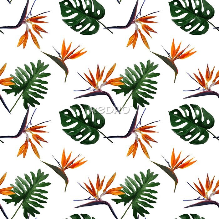 Papier peint  Seamless tropical pattern with  strelitzia with leaves on white background. Seamless pattern with colorful leaves of colocasia, filodendron, monstera. Exotic wallpaper. Hawaiian style.