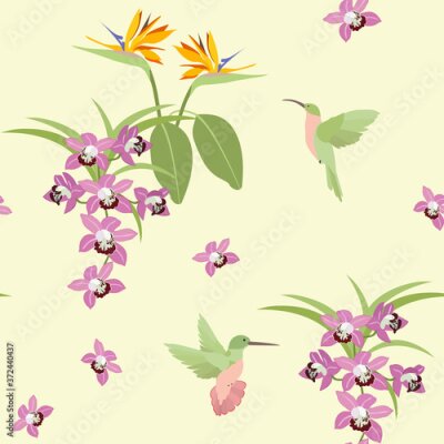 Papier peint  Seamless vector illustration with flowers of orchids, strelitzia and hummingbirds