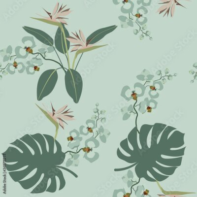 Papier peint  Seamless vector illustration with orchids and strelitzia.
