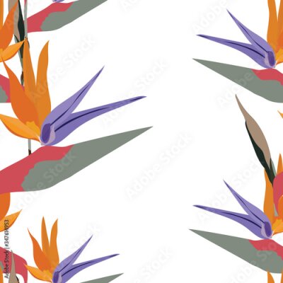 Papier peint  Seamless vector pattern of mixed: bird of paradise flowers with tropical green leaf isolated on white background. Cool african crane flower or strelitzia reginae blossom floral fabric pattern.