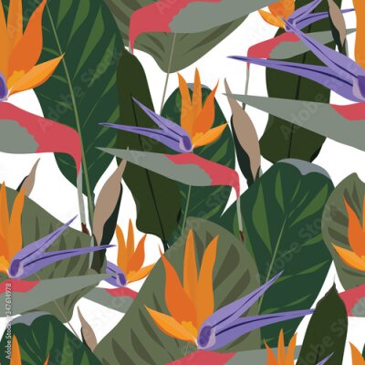Papier peint  Seamless vector pattern of mixed: bird of paradise flowers with tropical green leaf isolated on white background. Cool african crane flower or strelitzia reginae blossom floral fabric pattern.
