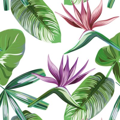 Papier peint  Seamless vivid exotic pattern with tropical palm, banana leaves and bird of paradise, strelitzia flower on a white background green vector style. Hawaiian tropical natural floral wallpaper