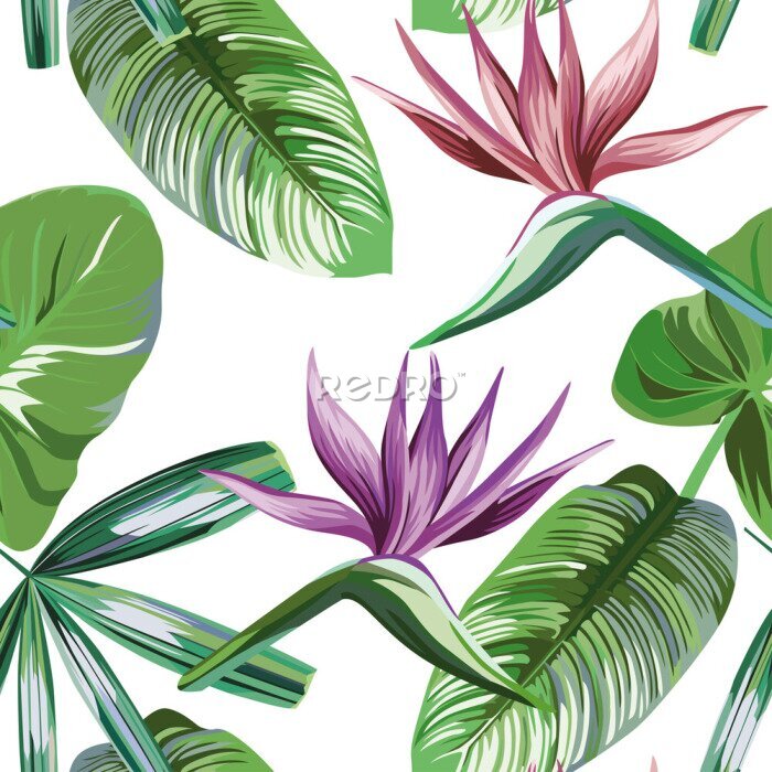 Papier peint  Seamless vivid exotic pattern with tropical palm, banana leaves and bird of paradise, strelitzia flower on a white background green vector style. Hawaiian tropical natural floral wallpaper