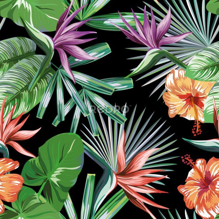 Papier peint  Seamless vivid exotic pattern with tropical palm, banana leaves and bird of paradise, strelitzia, hibiscus flower on a black background green vector style. Hawaiian tropical natural floral wallpaper