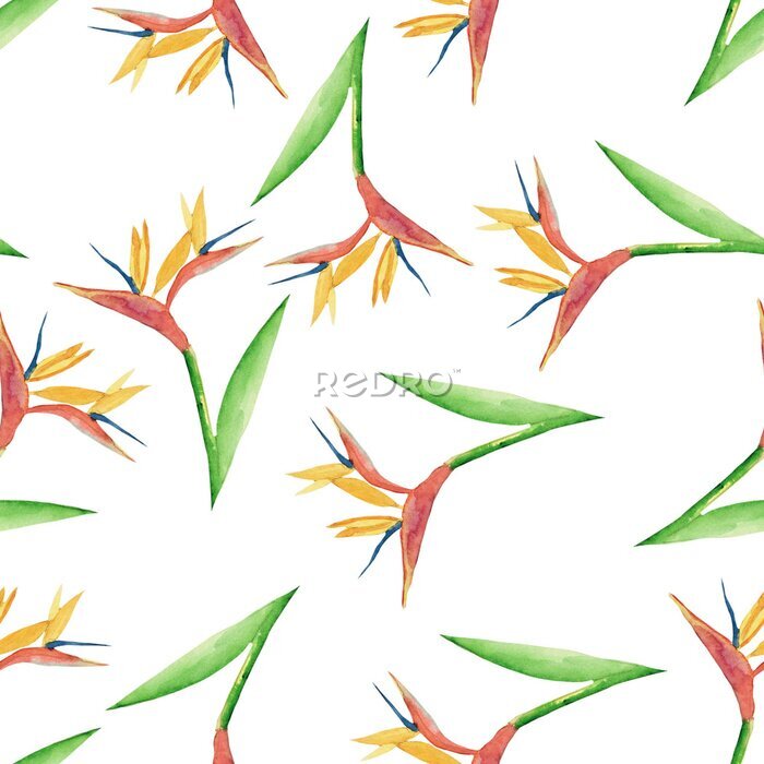 Papier peint  Seamless watercolor illustration with a watercolor-drawn strelitzia flower. 