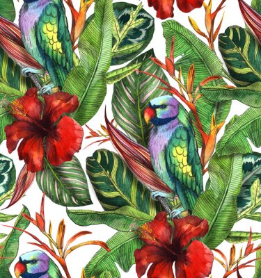 Papier peint  Seamless watercolor pattern with hibiscus, palm leaves, branch of strelitzia, calathea, parrot.Tropic background
