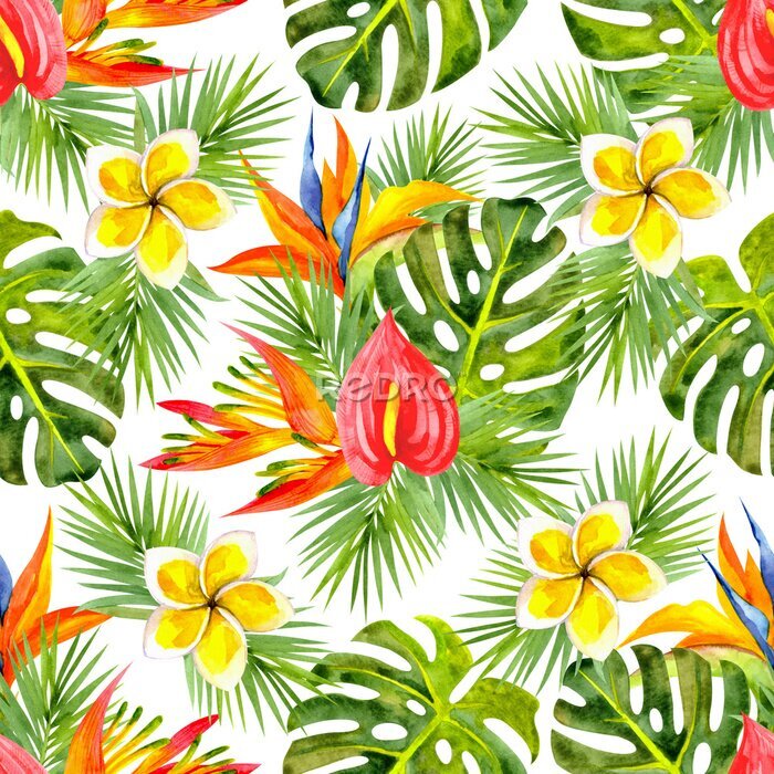 Papier peint  Seamless watercolor pattern with tropical flowers and leaves. Pattern with strelitzia, heliconia, monstera leaves, palm leaves, anthurium and plumeria on a white background.