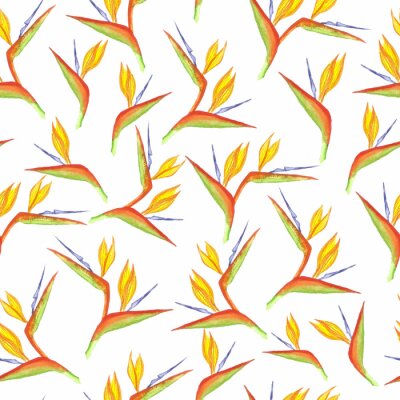 Papier peint  Seamless watercolor strelitzia flower pattern. Strelitzia, bird of paradise, or crane lily. Design for textile, wallpapers, greeting cards, decoration.