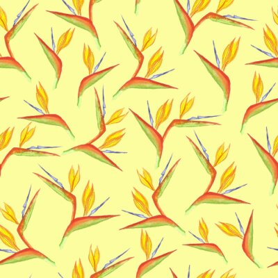 Papier peint  Seamless watercolor strelitzia flower pattern. Strelitzia, bird of paradise, or crane lily. Design for textile, wallpapers, greeting cards, decoration.