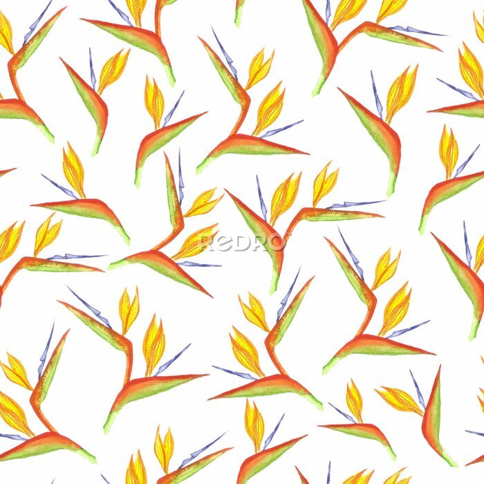 Papier peint  Seamless watercolor strelitzia flower pattern. Strelitzia, bird of paradise, or crane lily. Design for textile, wallpapers, greeting cards, decoration.