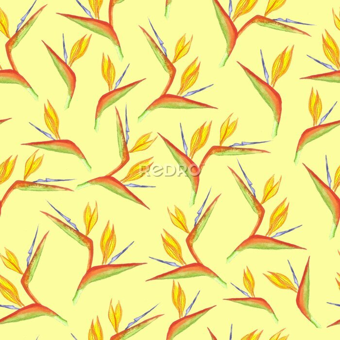 Papier peint  Seamless watercolor strelitzia flower pattern. Strelitzia, bird of paradise, or crane lily. Design for textile, wallpapers, greeting cards, decoration.