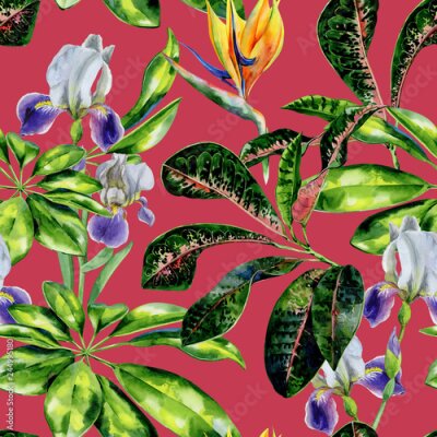 Papier peint  Seamless watercolor tropical pattern with green schefflera arboricola plant  and iris flowers, croton leaves and strelitzia. Bird of paradise flower wallpaper. Crane flower and dwarf umbrella tree.