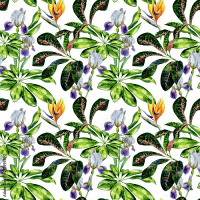 Papier peint  Seamless watercolor tropical pattern with green schefflera arboricola plant  and iris flowers, croton leaves and strelitzia. Bird of paradise flower wallpaper. Crane flower and dwarf umbrella tree.