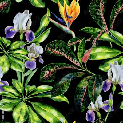 Papier peint  Seamless watercolor tropical pattern with green schefflera arboricola plant  and iris flowers, croton leaves and strelitzia. Bird of paradise flower wallpaper. Crane flower and dwarf umbrella tree.