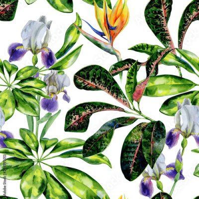 Papier peint  Seamless watercolor tropical pattern with green schefflera arboricola plant  and iris flowers, croton leaves and strelitzia. Bird of paradise flower wallpaper. Crane flower and dwarf umbrella tree.