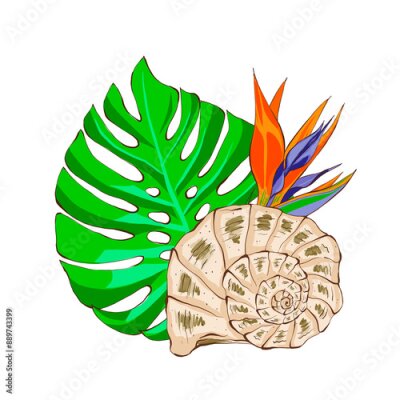 Papier peint  Seashell with monstera leaf and tropical strelitzia flower. Summer beach composition. Hand drawn illustration in flat style on white background.