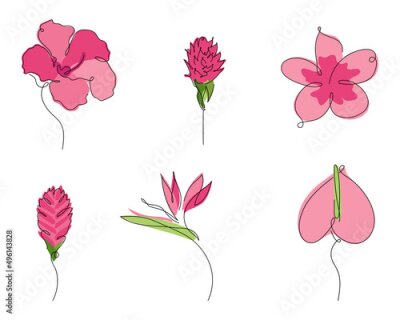 Papier peint  Set collection of exotic tropical botany flowers Plumeria, orchid, ginger, Anthurium, Strelitzia. Outline vector illustration Biophilia in hand drawn one line art.