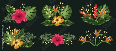 Papier peint  Set composition with tropical flowers hibiscus, heliconia and strelitzia, leaves palm and monstera. Vector on a black background