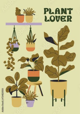 Papier peint  Set de ilustraciones vectoriales de plantas con macetas. Diferentes plantas de interior aisladas sobre fondo blanco. Planta colgante, hojas. Alocasia, begonia, , monstera, ficus, strelitzia y oxalis. 