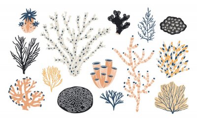 Papier peint  Set de plantes de récif corallien