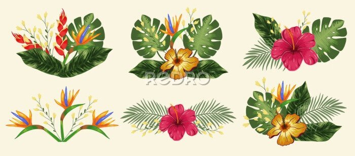 Papier peint  Set design element with tropical flowers hibiscus, heliconia and strelitzia, leaves palm and monstera. Vector on a light background