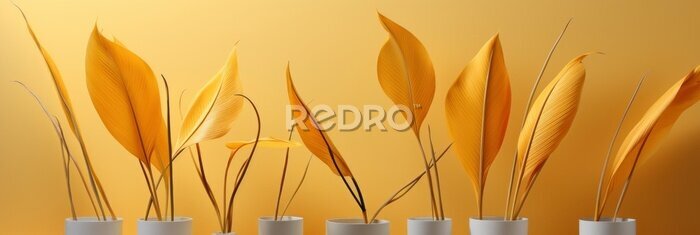 Papier peint  Set Golden Palm Leaves Strelitzia Flower , Banner Image For Website, Background, Desktop Wallpaper