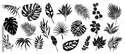 Papier peint  Set of black silhouettes of tropical leaves. Hand drawn elegant exotic eucalyptus, banana, strelitzia, palm tree, monstera leaves. Trendy botanical vector black illustrations on transparent background
