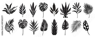 Papier peint  Set of black silhouettes of tropical leaves, plants. Hand drawn elegant exotic eucalyptus, monstera, strelitzia, agave, banana palm leaves. Trendy botanical vector isolated on transparent background.
