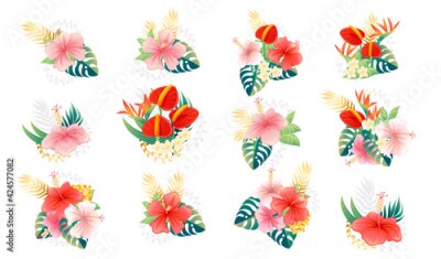 Papier peint  Set of bouquet of flowers pink and red exotic flower hibiscus anthurium and strelitzia vector illustration on white background