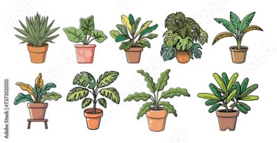 Papier peint  Set of different indoor potted house plants. Strelitzia, alocasia, monstera colorful icons for landscape, architectural, interior design. Hand drawn Vector illustrations on transparent background.