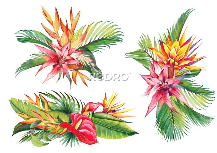 Papier peint  Set of floral arrangements with tropical flowers and palm leaves. Watercolor illustration on white background.