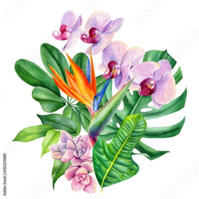 Papier peint  set of flowers, succulent, eucalyptus, pink hydrangea, tropical plants, leaves palm, strelitzia, orchid, monstera on an isolated white background, watercolor illustration