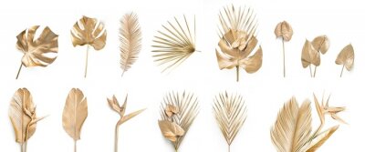 Papier peint  Set of golden palm leaves, strelitzia flower, bird of paradise, anthurium or flamingo flowers. Monstera and banana leaf. Bouquet isolated on white. Nature background.