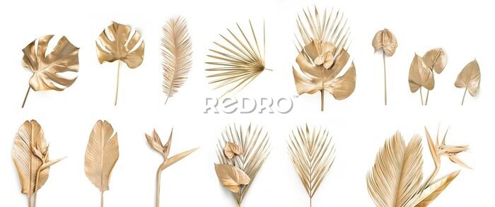 Papier peint  Set of golden palm leaves, strelitzia flower, bird of paradise, anthurium or flamingo flowers. Monstera and banana leaf. Bouquet isolated on white. Nature background.