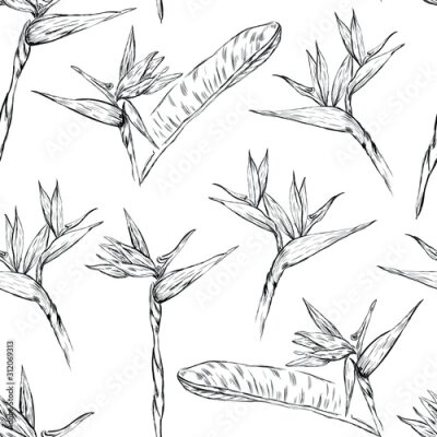 Papier peint  set of green leaves. Strelitzia , flowers , botanical vector seamless pattern . Concept for print, clothing design, wallpaper, cards, wrapping paper  