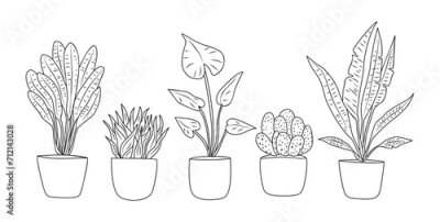 Papier peint  Set of Houseplants outline drawings. Indoor exotic flowers in pots line art. Monstera, strelitzia, cactus, snake plants for interior plans, design. Vector illustrations on transparent background.	