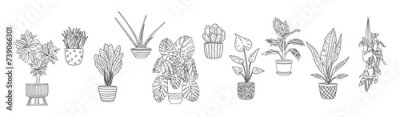 Papier peint  Set of Houseplants outline drawings. Indoor exotic flowers in pots line art. Monstera, strelitzia, cactus, snake plants for interior plans, design. Vector illustrations on transparent background.