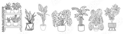 Papier peint  Set of Houseplants outline drawings. Indoor exotic flowers in pots line art. Monstera, strelitzia, ficus plant for home interior plans, design. Vector illustrations isolated on transparent background.