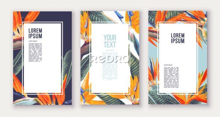 Papier peint  Set of poster with tropical flowers - Strelitzia,South African plant, called crane flower or bird of paradise. Can be used as greeting, invitation card, template design, cover, party advertisement.
