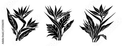 Papier peint  Set of Strelitzia, Bird of Paradise flower silhouettes. Tropic outline floral illustration. Exotic botanical black outline drawing. Vector design for logo, tattoo, wall art, packaging isolated.