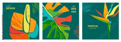 Papier peint  Set of summer bright cards with abstract monstera leaves and tropical flowers. Anthurium and strelitzia flowers. In a modern minimalist style. Template for ad, cover, social, poster, sales. 