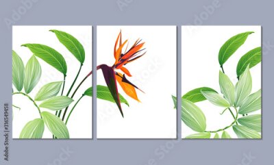 Papier peint  Set of three wall paintings, canvas for the living room. Poster element for interior design of a dining room, bedroom, office. Tropical summer background with flowers strelitzia and green leaves.  