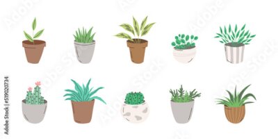 Papier peint  Set of trendy potted house plants. Different indoor flowers isolated on white background. Alocasia, begonia, fan palm, monstera, ficus, strelitzia and oxalis. Flat vector illustration