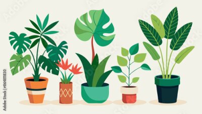 Papier peint  Set of trendy potted plants for home. Different indoor houseplants isolated on white background. Alocasia, begonia, fan palm, monstera, ficus, strelitzia and oxalis. Colored flat