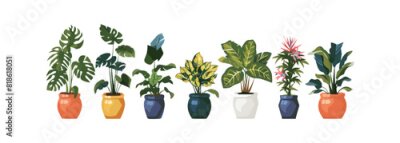 Papier peint  Set of trendy potted plants for home. Different indoor houseplants isolated on white background. Alocasia, begonia, fan palm, monstera, ficus, strelitzia and oxalis. Colored flat vector